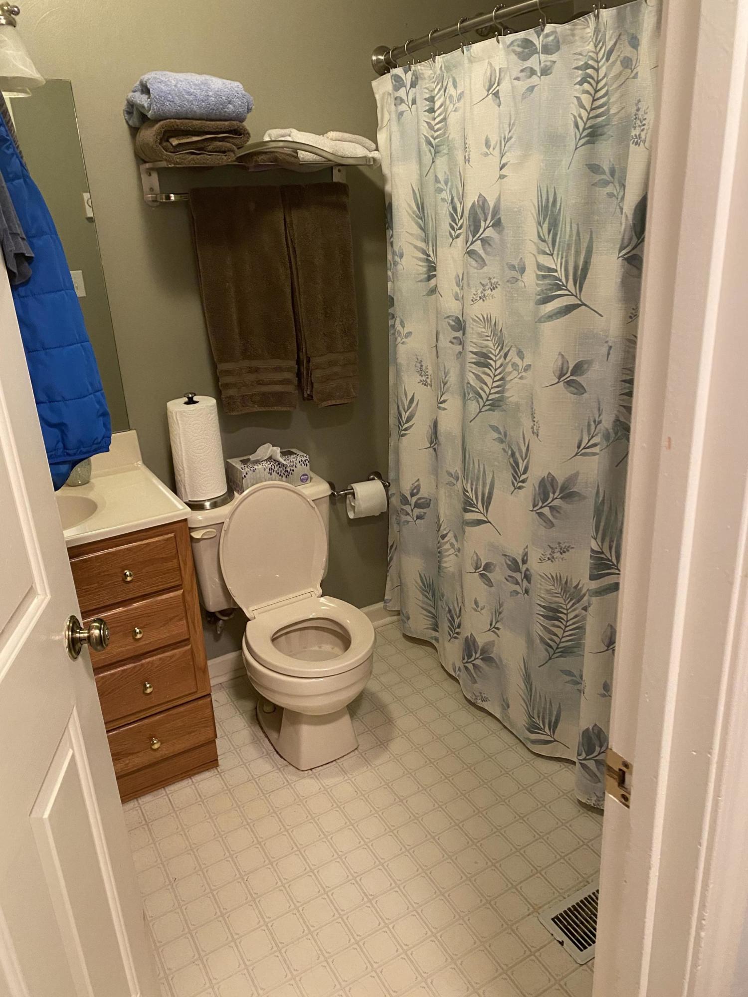 2746 Morgans Mill Road Goodview, VA 24095 - Photo 8 of 13 a bathroom with a toilet and a shower