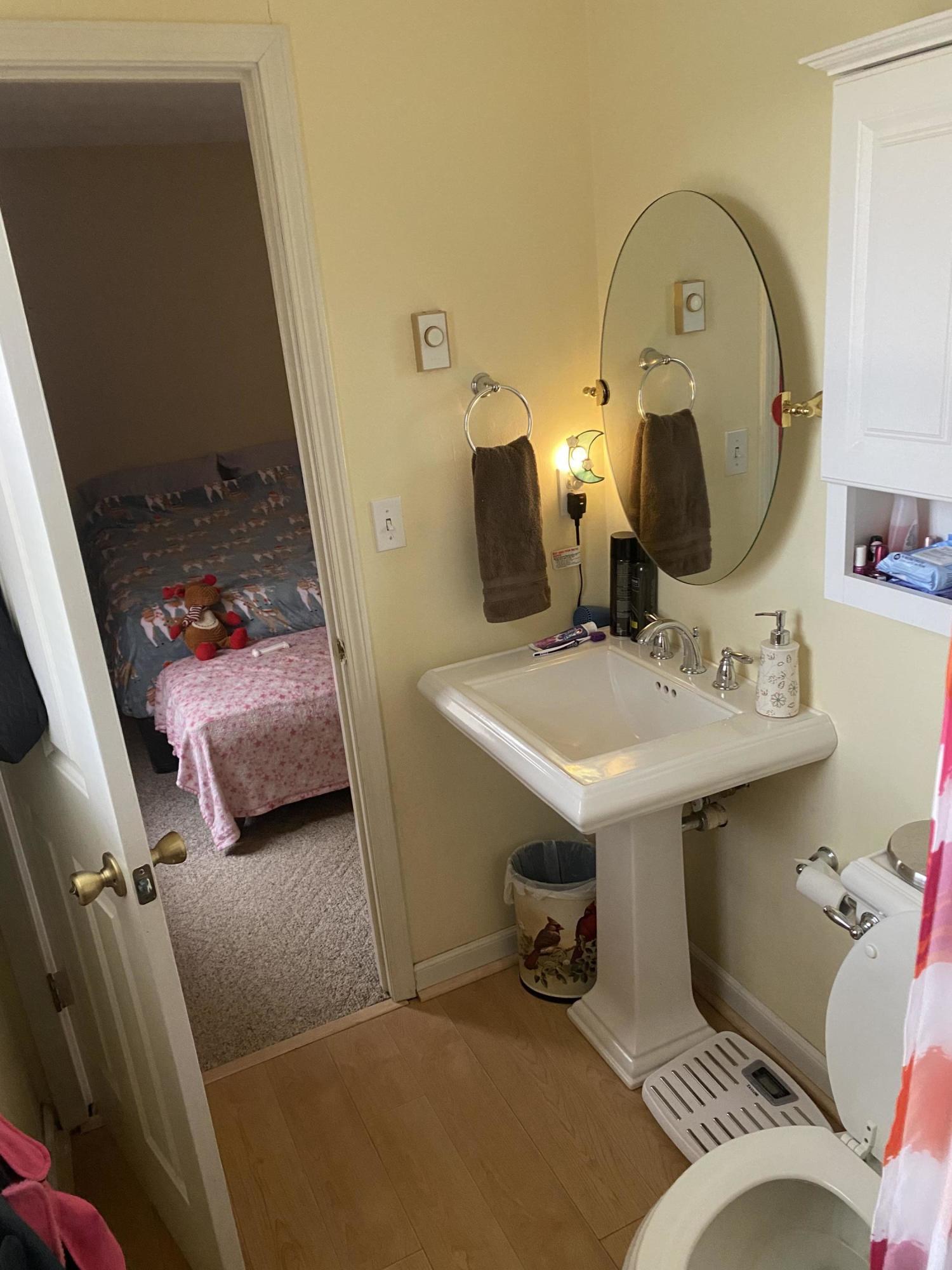 2746 Morgans Mill Road Goodview, VA 24095 - Photo 10 of 13 a bathroom with a sink and a mirror
