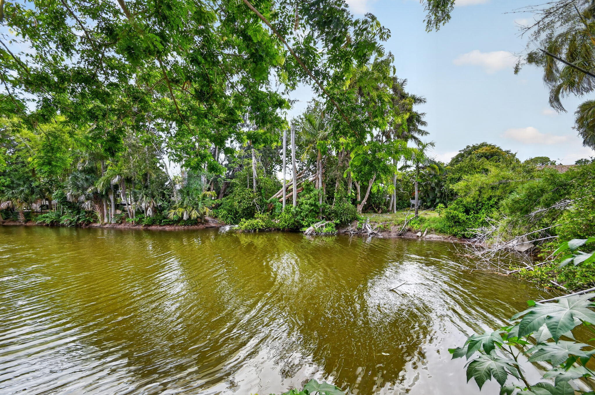 3192 Riddle Road West Palm Beach, FL 33406 - Photo 68 of 74 68-web-or-mls-DSC_9346