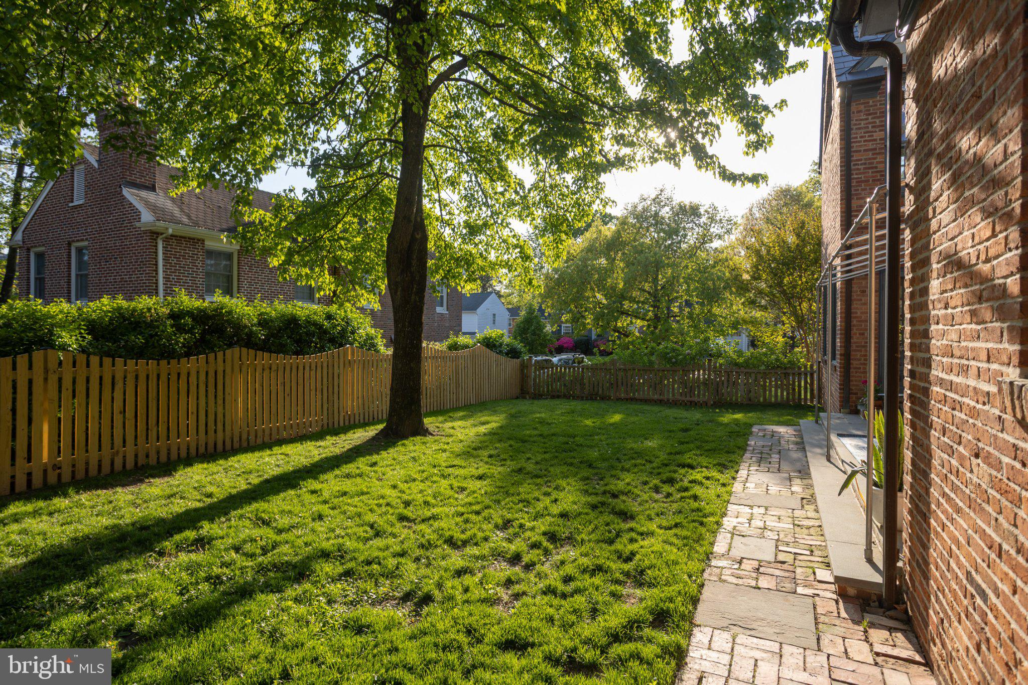7005 Copeleigh Road Baltimore, MD 21212 - Photo 47 of 51 Sunlit backyard with lush greenery.