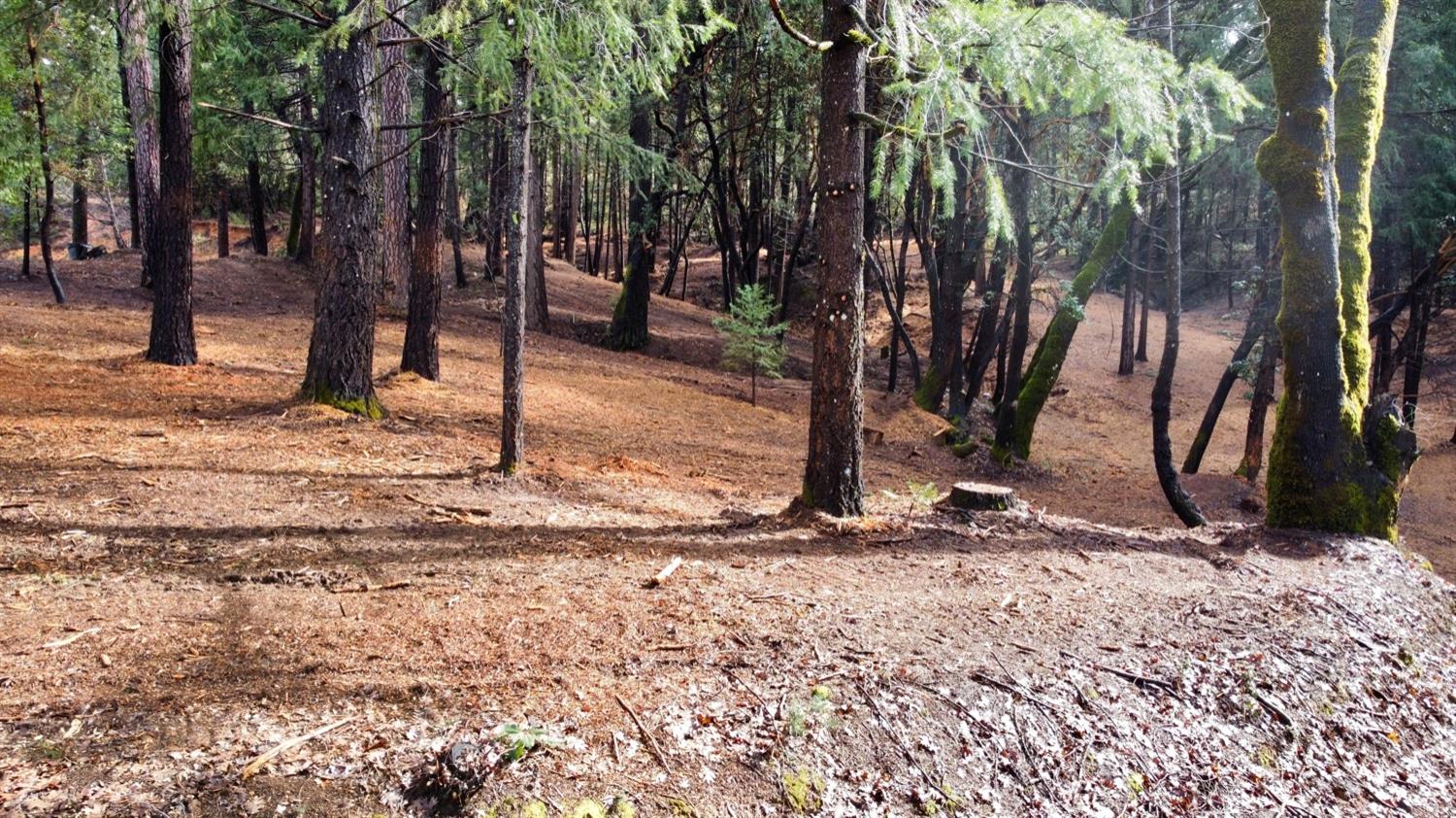 0 Oregon Trail Road Georgetown, CA 95634 - Photo 11 of 20 a view of a backyard with large trees
