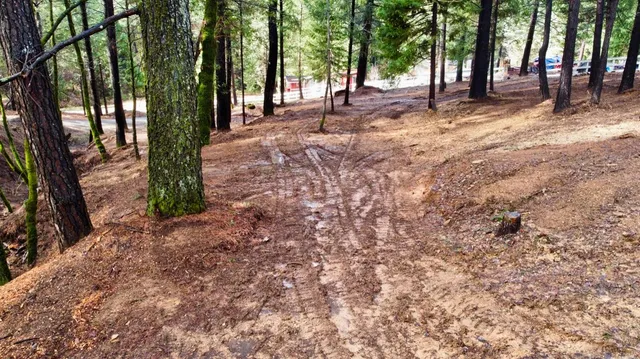 a view of road with trees