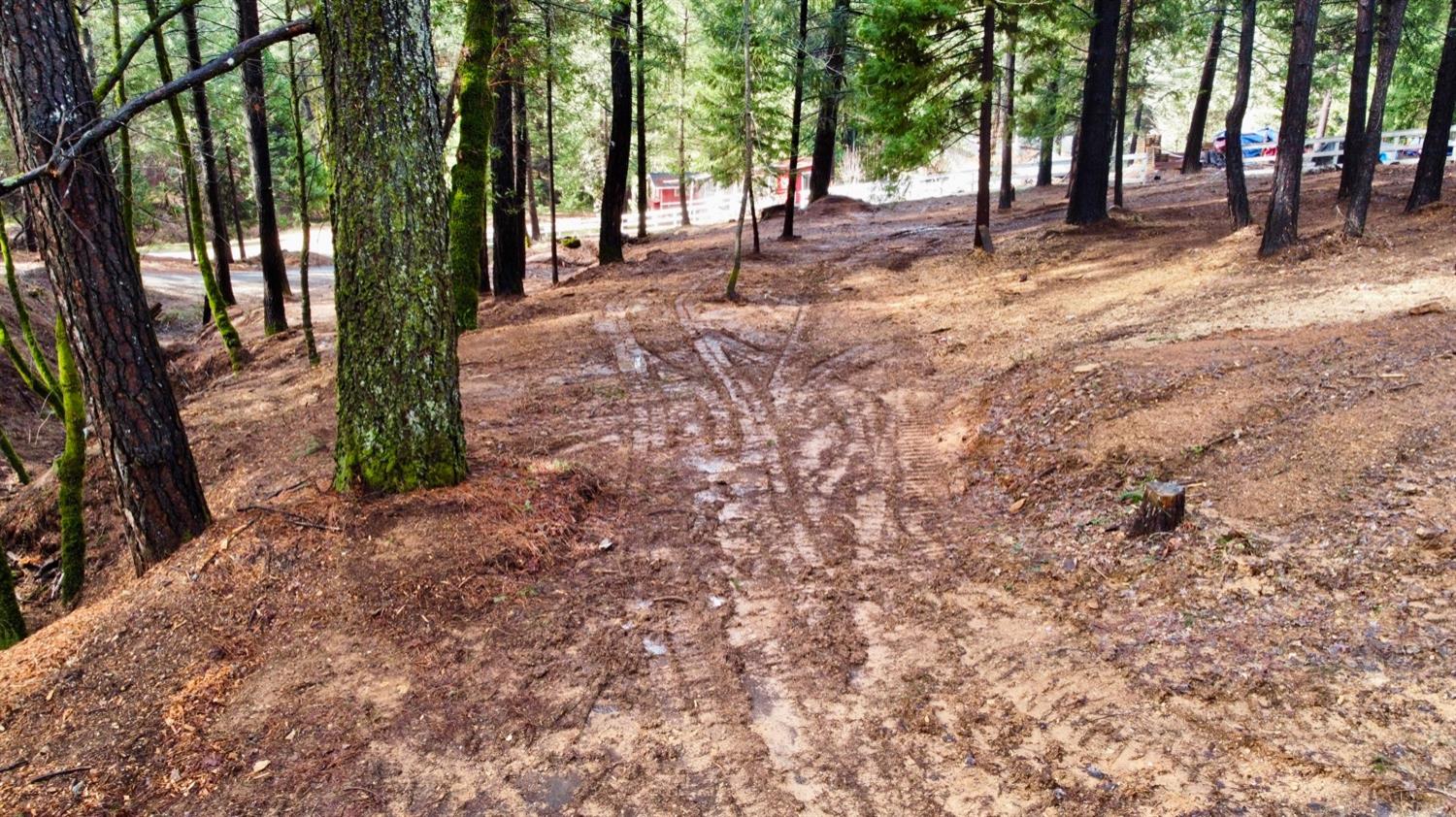 0 Oregon Trail Road Georgetown, CA 95634 - Photo 12 of 20 a view of road with trees