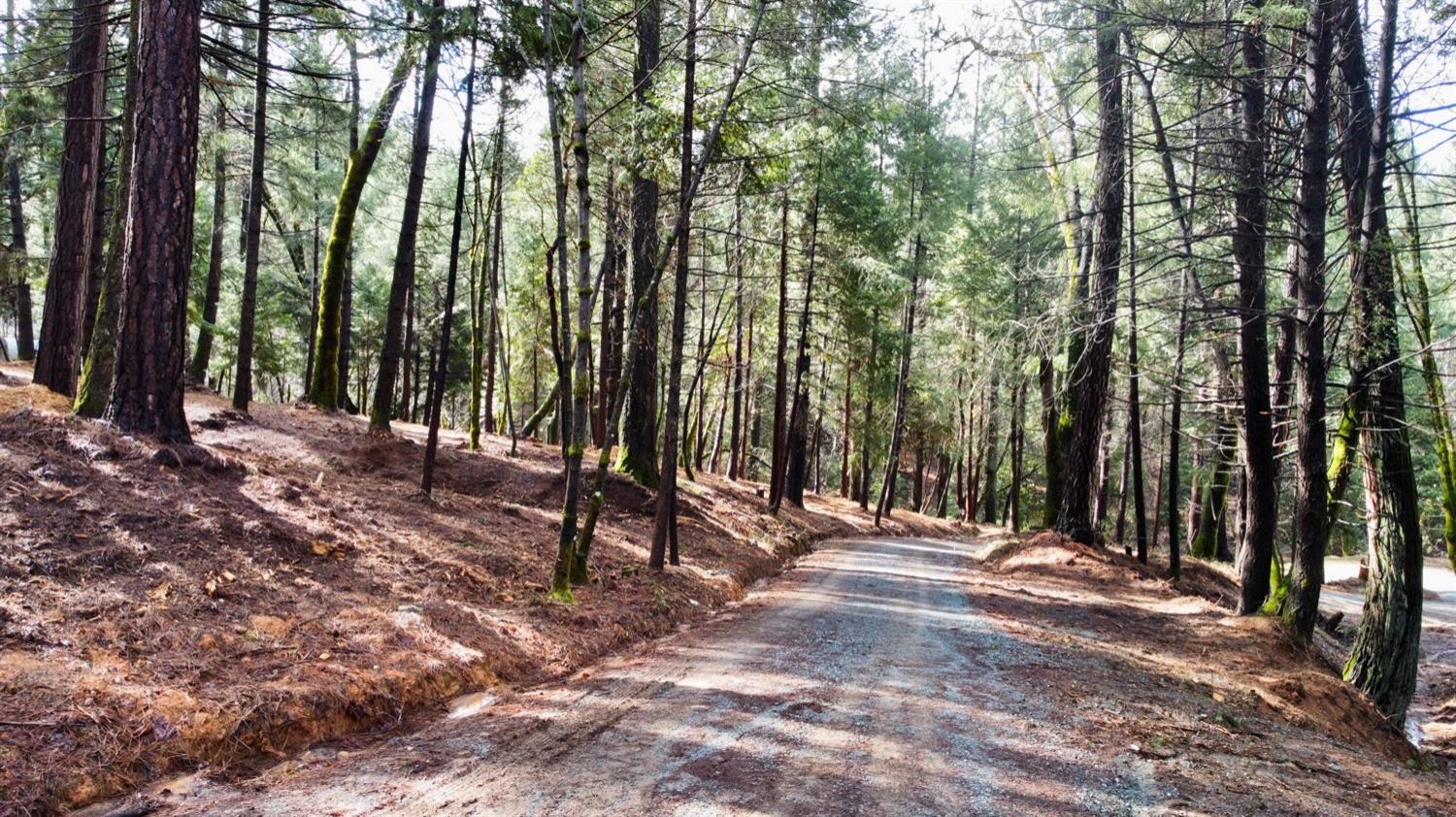 0 Oregon Trail Road Georgetown, CA 95634 - Photo 13 of 20 a view of outdoor space with deck and trees