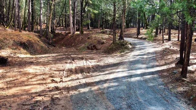 a view of outdoor space with trees