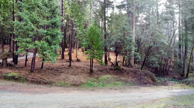 a backyard of a house with lots of trees