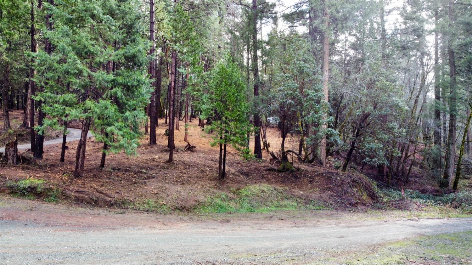 0 Oregon Trail Road Georgetown, CA 95634 - Photo 17 of 20 a backyard of a house with lots of trees