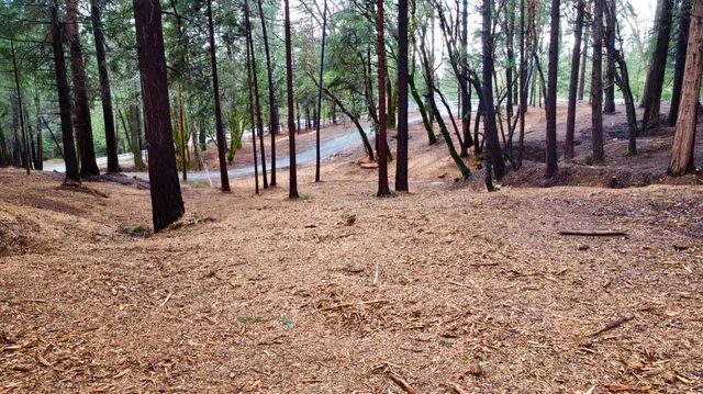 a view of outdoor space with deck
