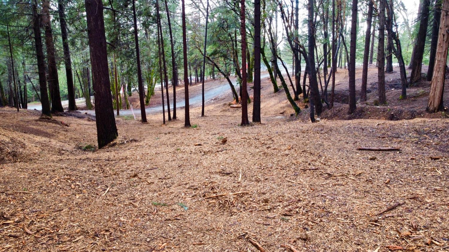 0 Oregon Trail Road Georgetown, CA 95634 - Photo 20 of 20 a view of a backyard with trees