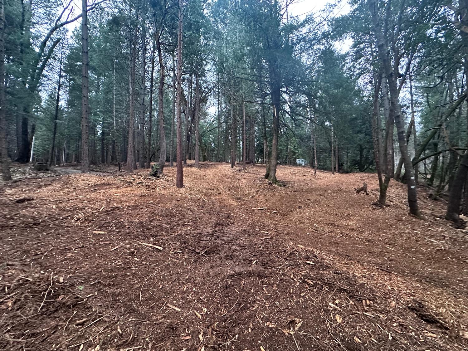 0 Oregon Trail Road Georgetown, CA 95634 - Photo 2 of 20 a backyard of a house with lots of green space