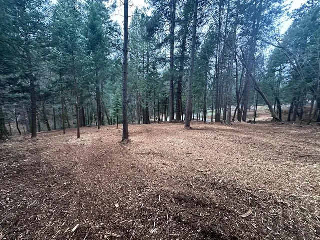 a view of outdoor space with trees