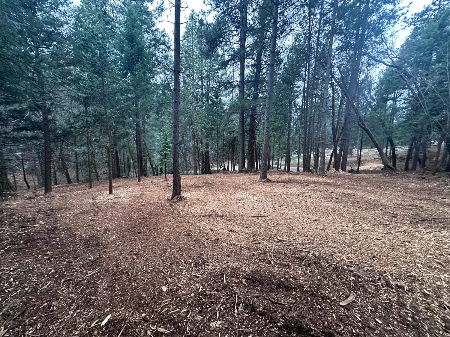 0 Oregon Trail Road Georgetown, CA 95634 - Photo 3 of 20 a view of outdoor space with trees