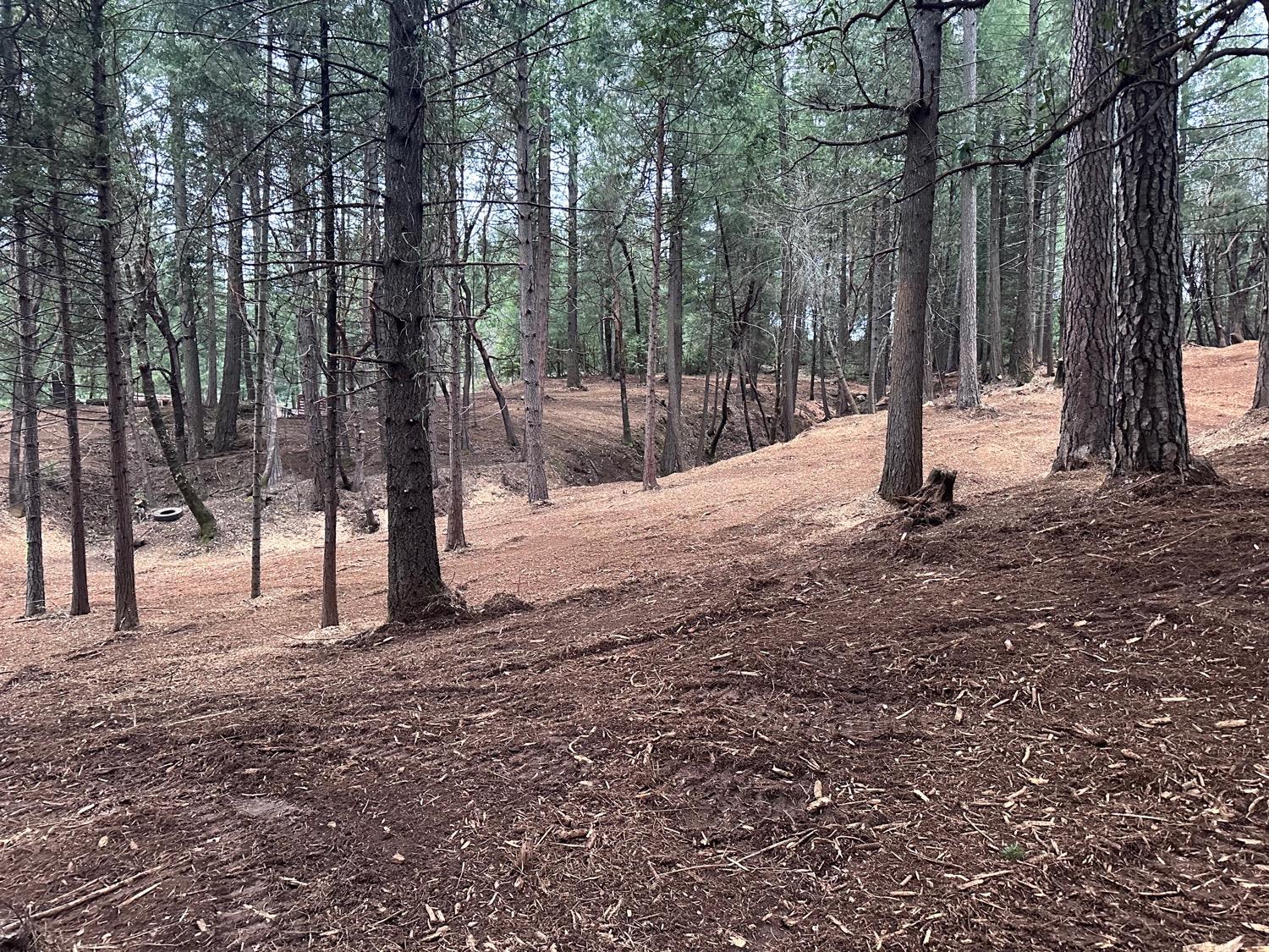 0 Oregon Trail Road Georgetown, CA 95634 - Photo 4 of 20 a view of a tree with a yard
