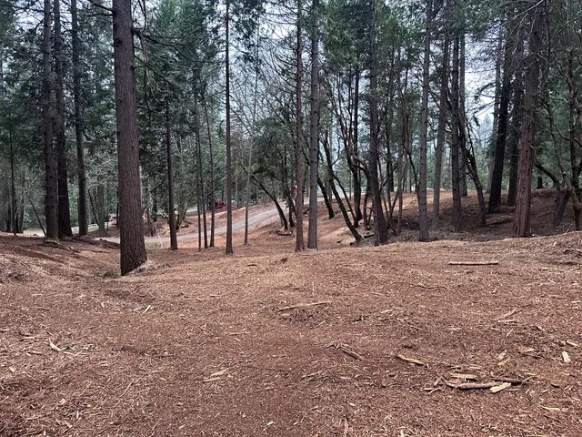 a view of outdoor space with trees