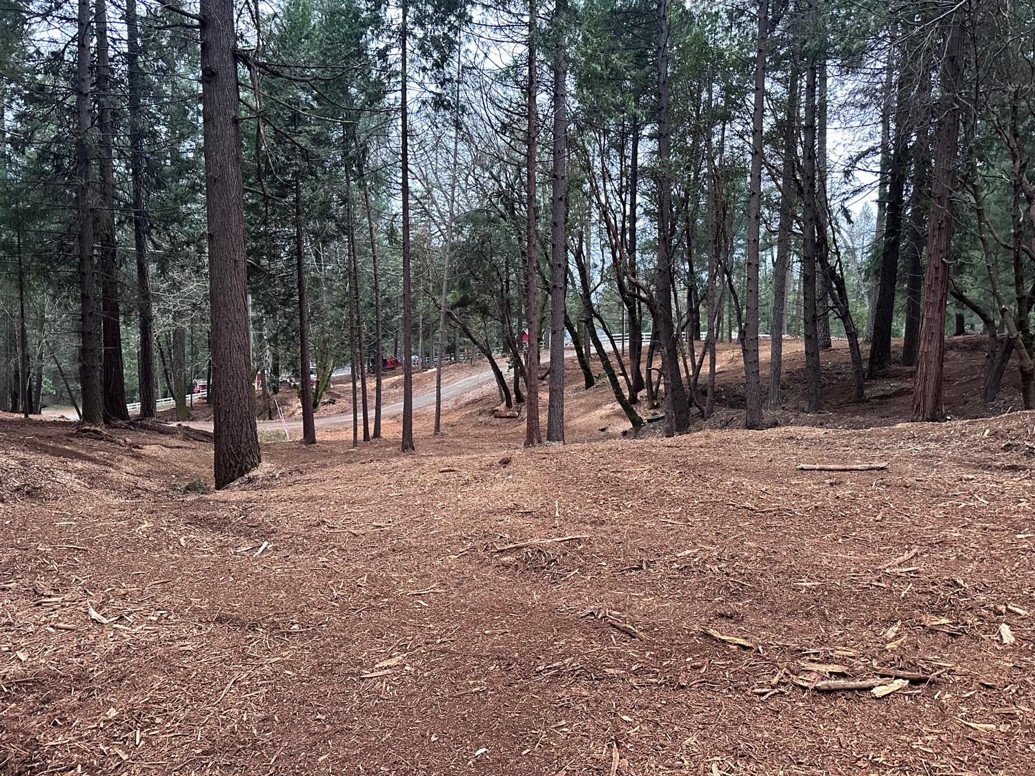 0 Oregon Trail Road Georgetown, CA 95634 - Photo 5 of 20 a view of outdoor space with trees