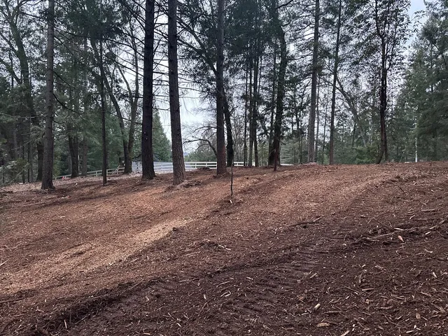 a view of outdoor space with trees