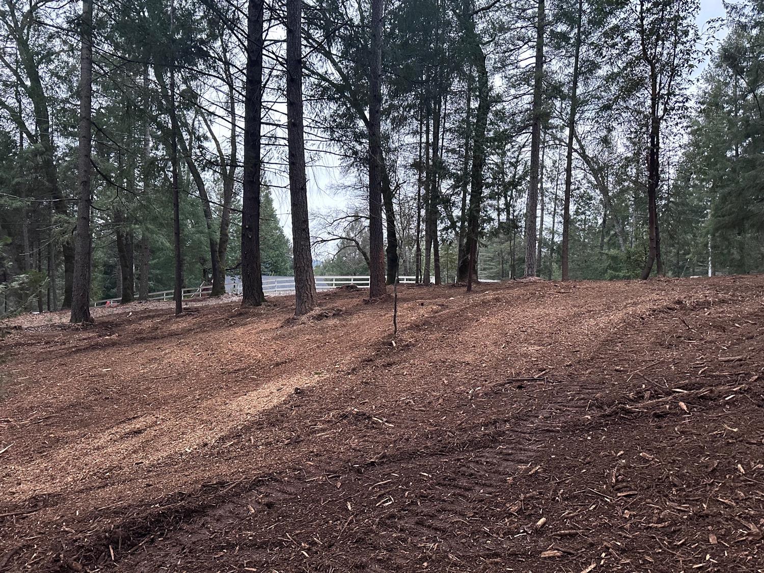 0 Oregon Trail Road Georgetown, CA 95634 - Photo 7 of 20 a view of outdoor space with trees