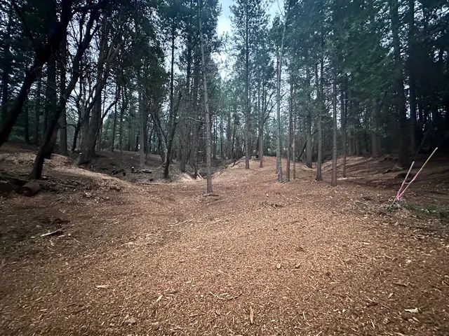 a backyard of a house with lots of green space