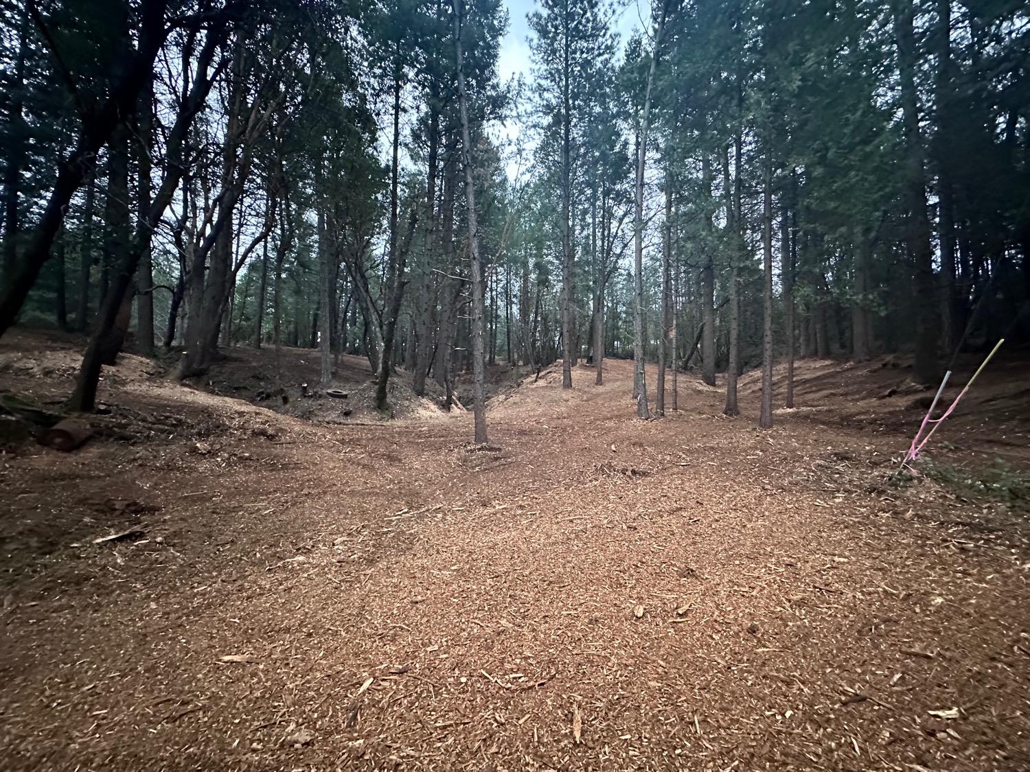 0 Oregon Trail Road Georgetown, CA 95634 - Photo 8 of 20 a backyard of a house with lots of green space