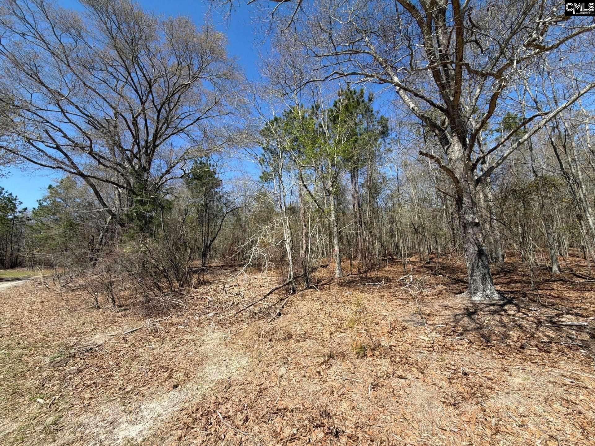 9 Boise Cascade Road, Unit BHL 9 Bethune, SC 29009 - Photo 9 of 44