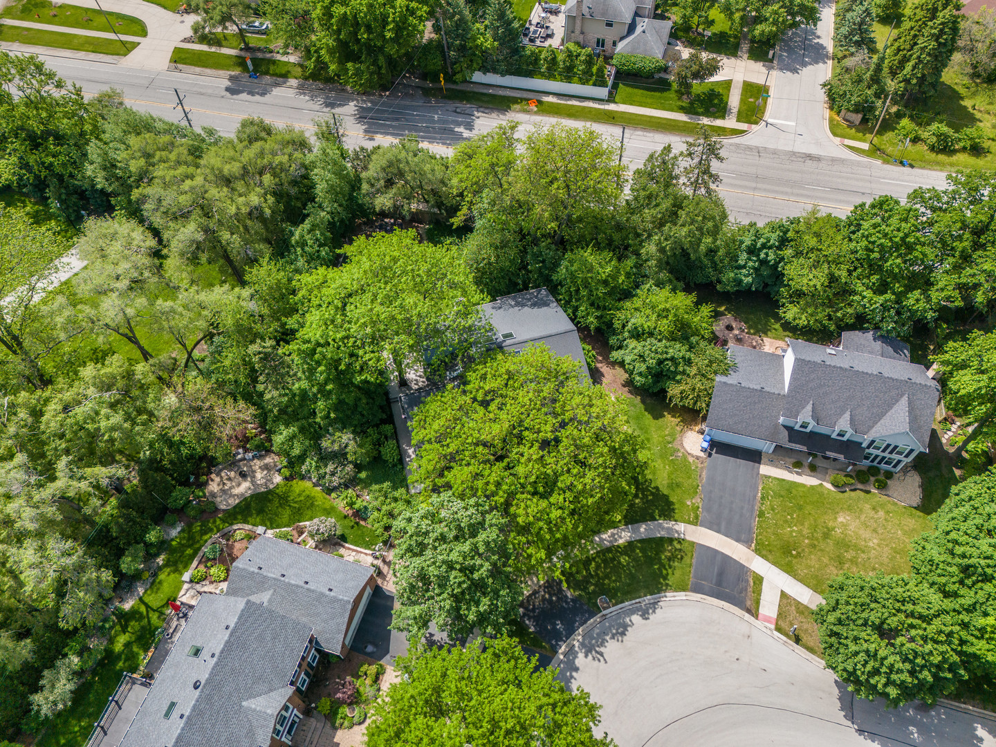 1925 Pine Road Lisle, IL 60532 - Photo 50 of 51