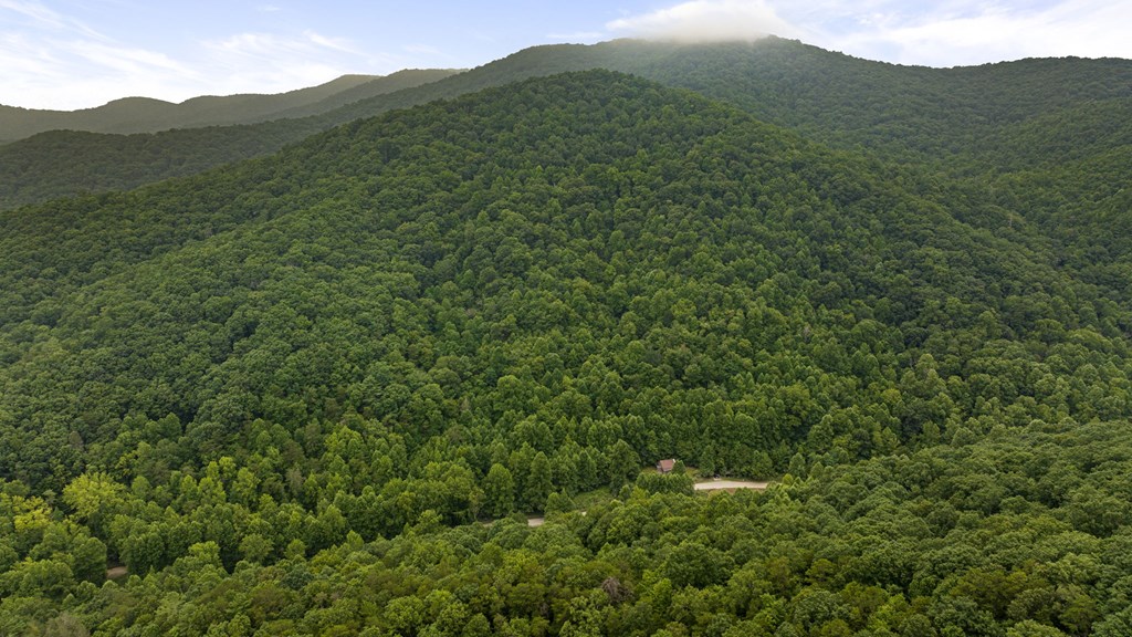 891 Bushy Head Road Cherry Log, GA 30522 - Photo 24 of 24