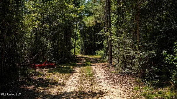 $247,000 | 4069 Dixie Garden Road, Wesson, MS 39191