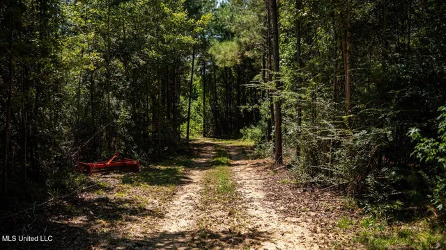 $259,000 | 4069 Dixie Garden Road, Wesson, MS 39191