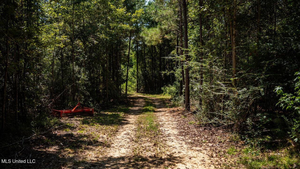 4069 Dixie Garden Road Wesson, MS 39191 - Photo 19 of 41 ZTS05899 Large