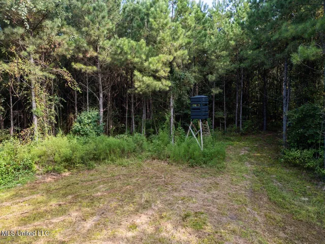 $259,000 | 4069 Dixie Garden Road, Wesson, MS 39191