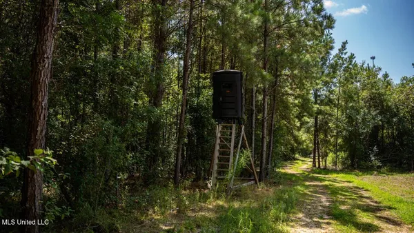 $247,000 | 4069 Dixie Garden Road, Wesson, MS 39191