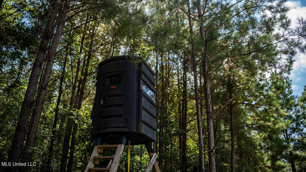 4069 Dixie Garden Road Wesson, MS 39191 - Photo 23 of 41 ZTS05911 Large