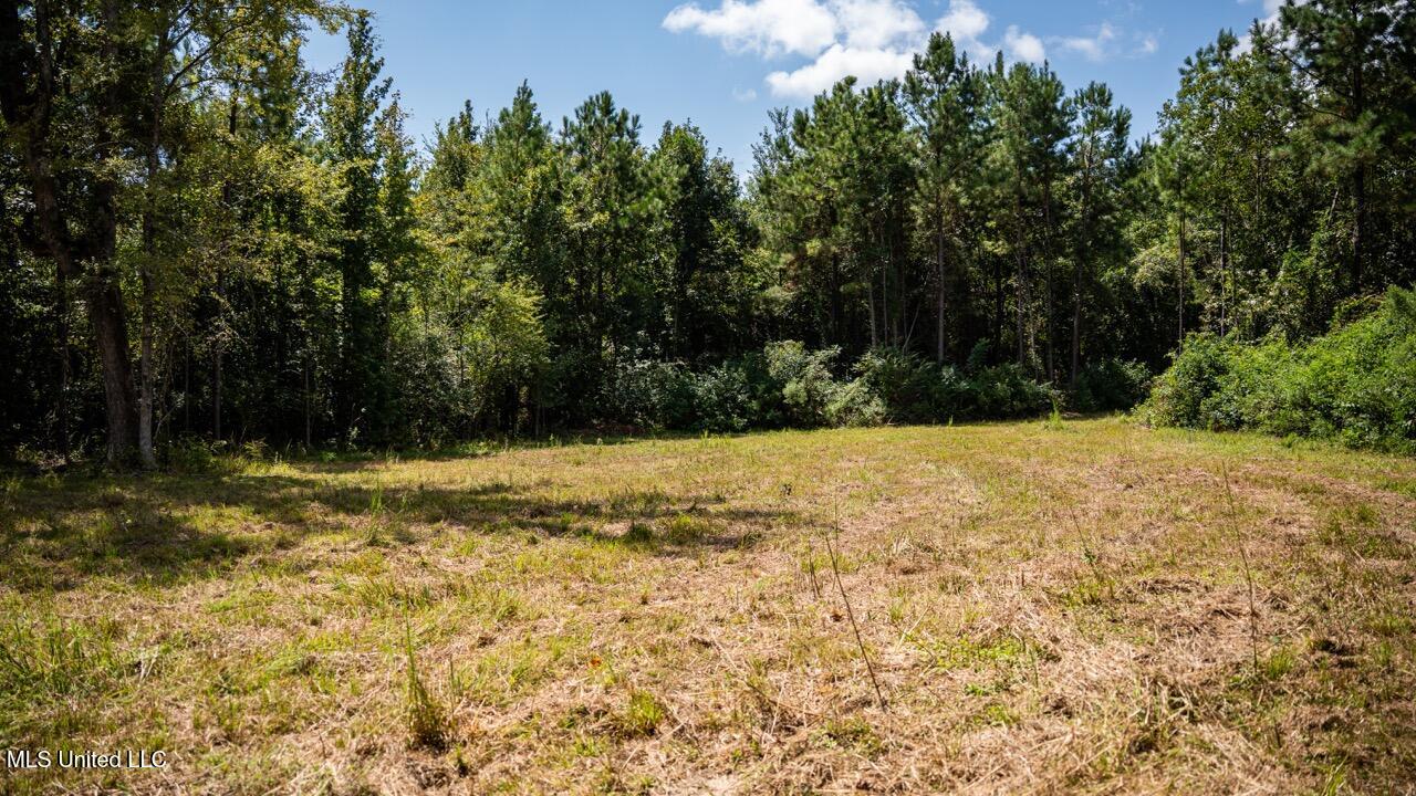 4069 Dixie Garden Road Wesson, MS 39191 - Photo 25 of 41 ZTS05915 Large