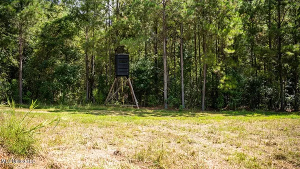 $247,000 | 4069 Dixie Garden Road, Wesson, MS 39191