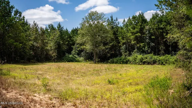 $259,000 | 4069 Dixie Garden Road, Wesson, MS 39191