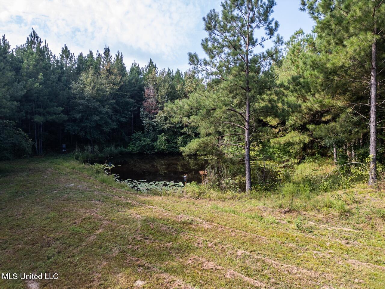 4069 Dixie Garden Road Wesson, MS 39191 - Photo 3 of 41 DJI_0498 Large