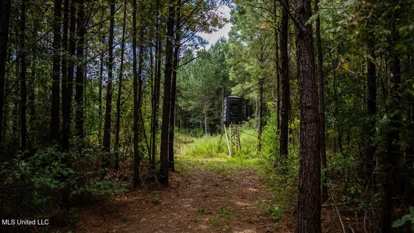 $247,000 | 4069 Dixie Garden Road, Wesson, MS 39191