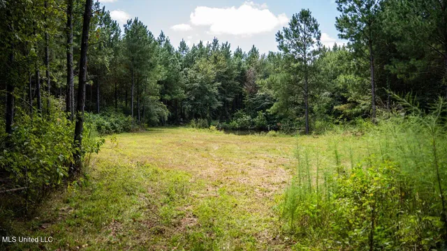 $259,000 | 4069 Dixie Garden Road, Wesson, MS 39191