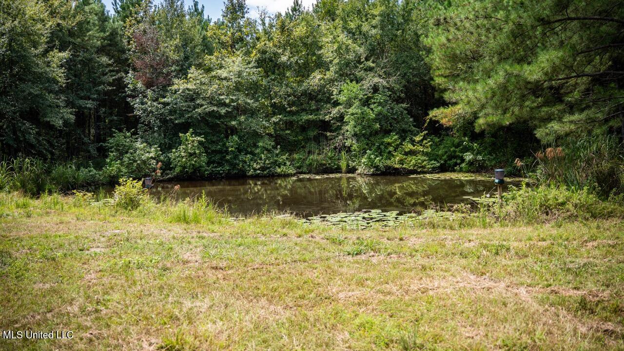 4069 Dixie Garden Road Wesson, MS 39191 - Photo 37 of 41 ZTS05959 Large