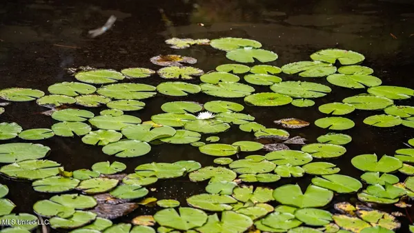 $247,000 | 4069 Dixie Garden Road, Wesson, MS 39191