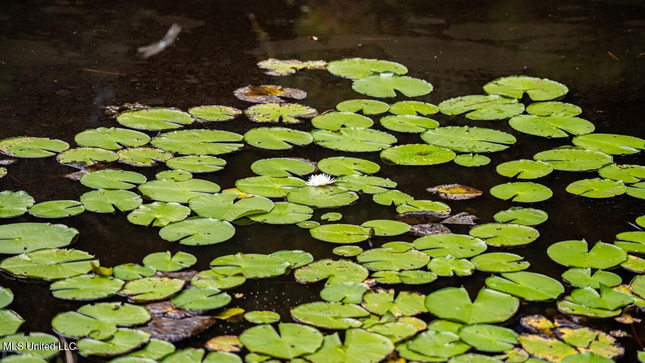 4069 Dixie Garden Road Wesson, MS 39191 - Photo 38 of 41 ZTS05963 Large