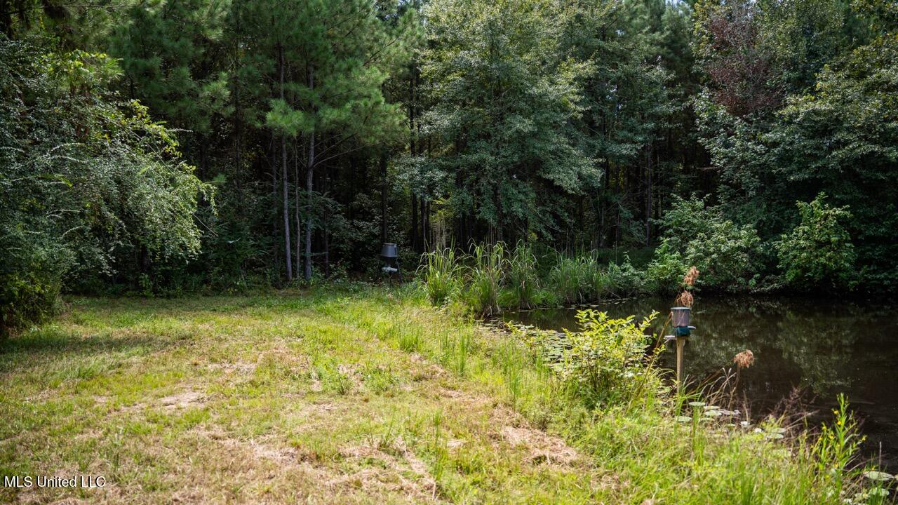 4069 Dixie Garden Road Wesson, MS 39191 - Photo 39 of 41 ZTS05969 Large