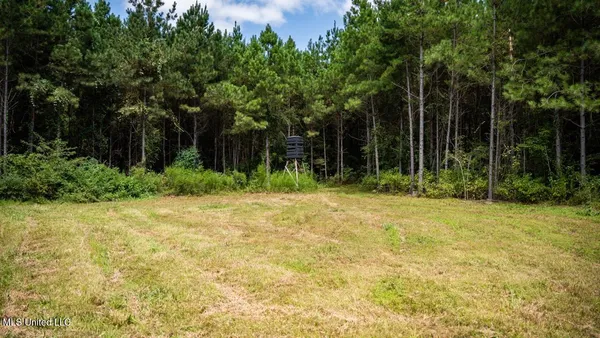 $247,000 | 4069 Dixie Garden Road, Wesson, MS 39191