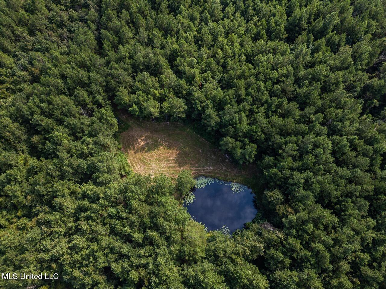 4069 Dixie Garden Road Wesson, MS 39191 - Photo 4 of 41 DJI_0499 Large