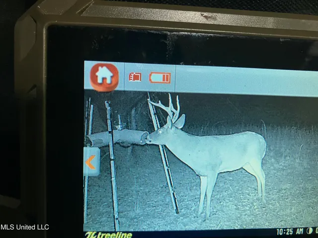 $250,000 | 4069 Dixie Garden Road, Wesson, MS 39191