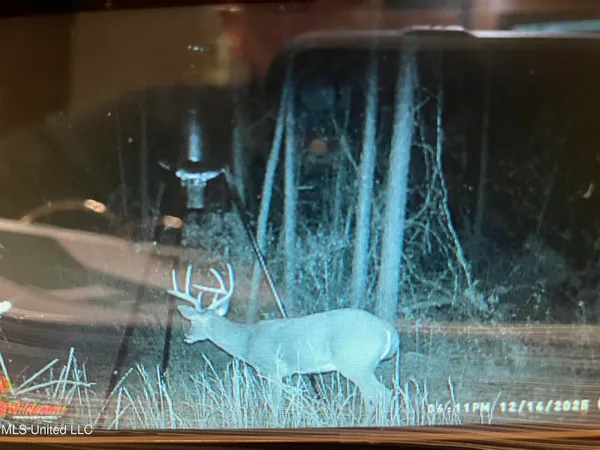 $247,000 | 4069 Dixie Garden Road, Wesson, MS 39191