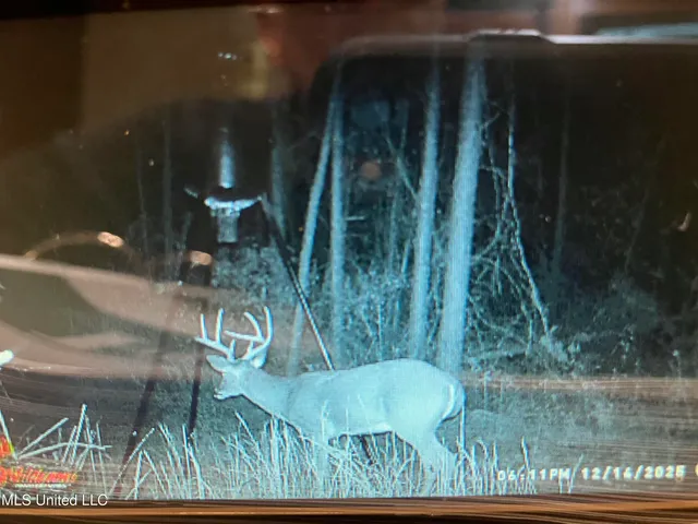 $250,000 | 4069 Dixie Garden Road, Wesson, MS 39191