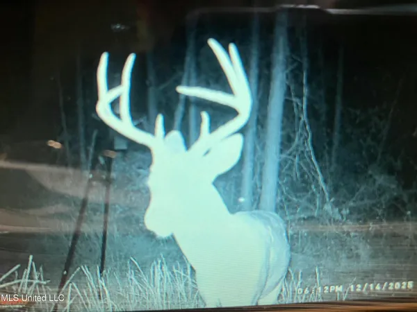 $247,000 | 4069 Dixie Garden Road, Wesson, MS 39191