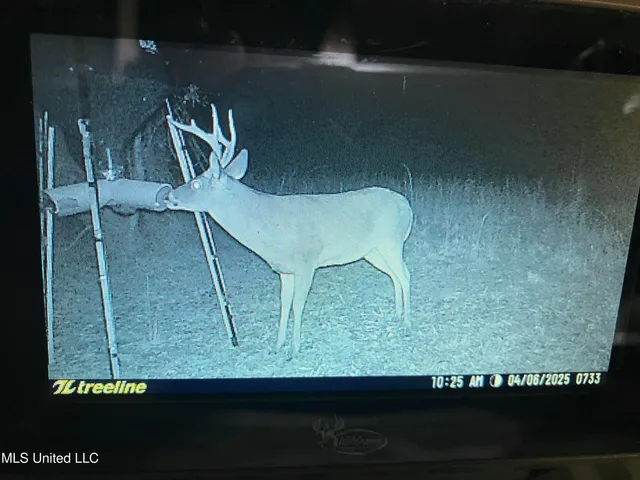 $250,000 | 4069 Dixie Garden Road, Wesson, MS 39191