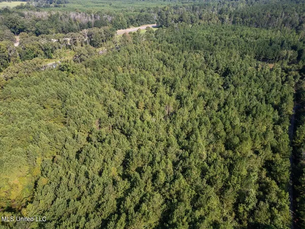 $247,000 | 4069 Dixie Garden Road, Wesson, MS 39191